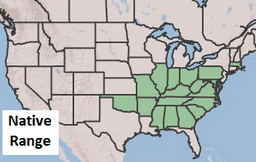 Placeholder Picture