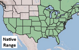 Placeholder Picture