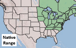 Placeholder Picture