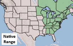Placeholder Picture
