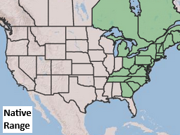 Placeholder Picture